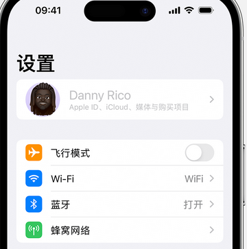 阿拉善右appleID维修服务iPhone设置中Apple ID显示为灰色无法使用 