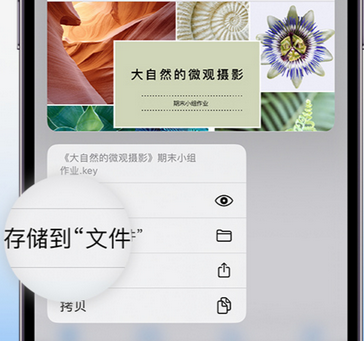 阿拉善右apple维修中心分享iPhone文件应用中存储和找到下载文件