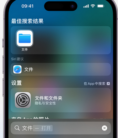 阿拉善右apple维修中心分享iPhone文件应用中存储和找到下载文件 