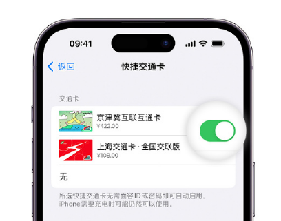 阿拉善右apple维修点分享iPhone上更换Apple Pay快捷交通卡手绘卡面 