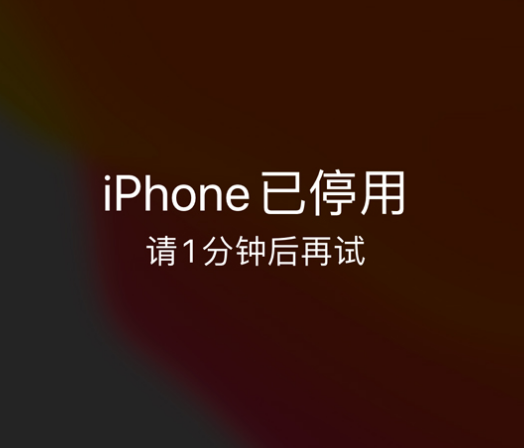 阿拉善右苹果手机维修分享:iPhone 显示“不可用”或“已停用”怎么办？还能保留数据吗？ 