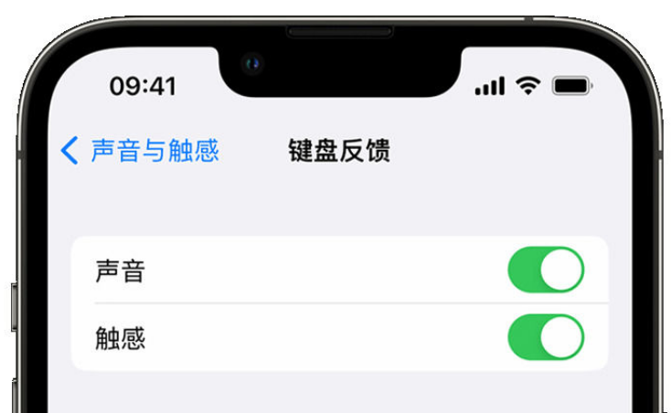 阿拉善右苹果手机维修分享iPhone 14触感键盘使用方法 