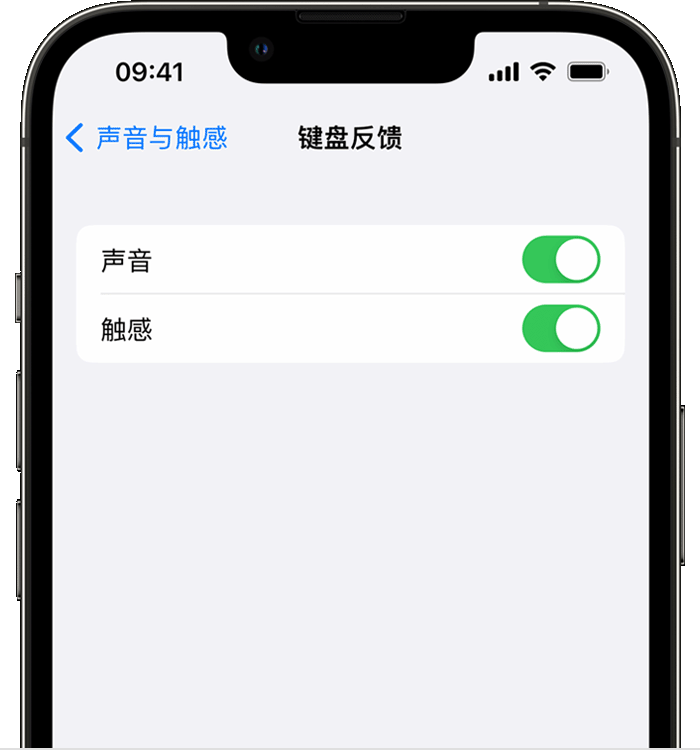 阿拉善右苹果14维修店分享如何在 iPhone 14 机型中使用触感键盘 