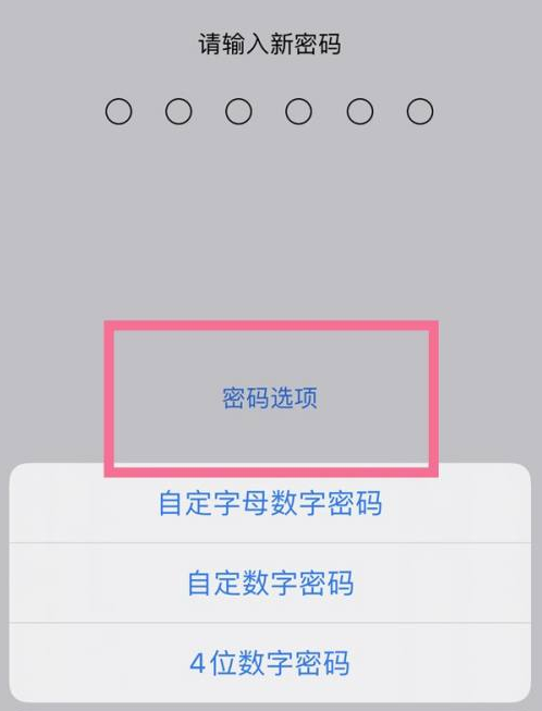 阿拉善右苹果14维修分享iPhone 14plus设置密码的方法 