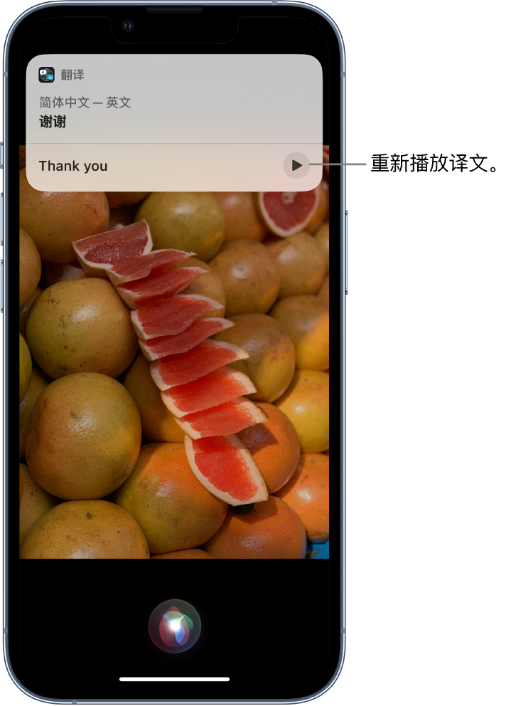 阿拉善右苹果14维修分享 iPhone 14 机型中使用 Siri：了解 Siri 能帮你做什么 