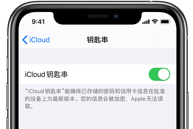 阿拉善右苹果手机维修分享在 iPhone 上开启 iCloud 钥匙串之后会储存哪些信息 